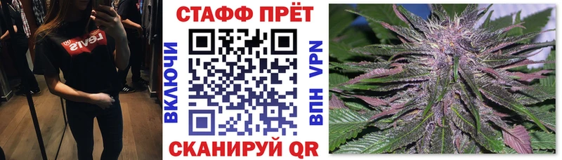 Где купить Сычёвка Alpha PVP  гидра ТОР  Cocaine  NBOMe  ГАШ  Меф мяу мяу  Канабис 