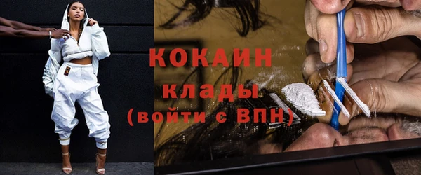 крисы Няндома