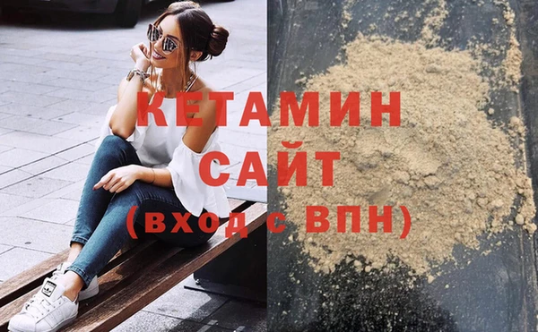крисы Няндома