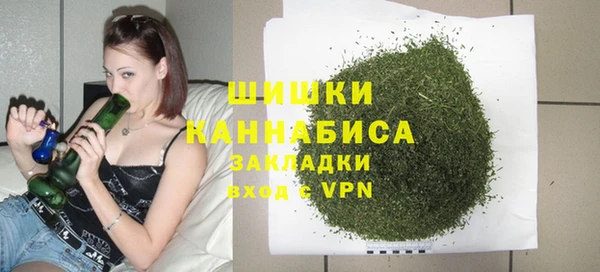 дживик Нягань