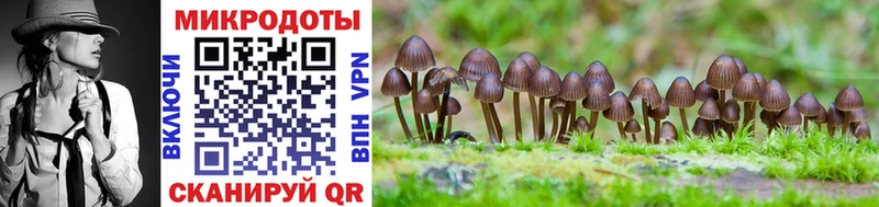 Галлюциногенные грибы Cubensis  Сычёвка 